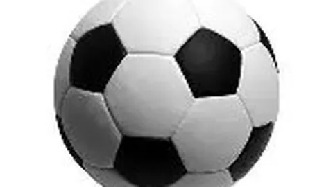 辽宁篮球团队更名“沈阳三生飞豹俱乐部”