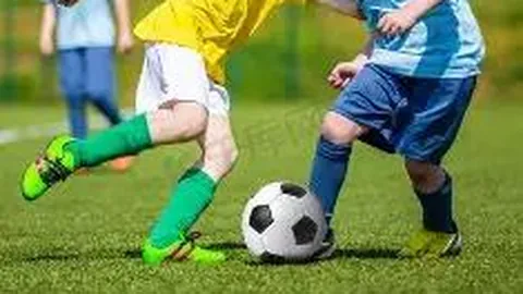 开运体育app 资讯 094525 r8s