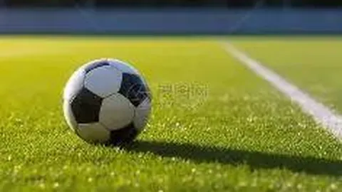 开运体育app 产品 085505 sub