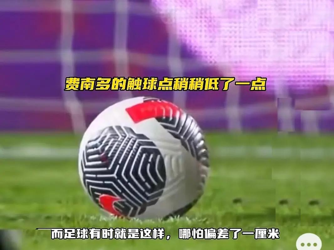 队员与国内